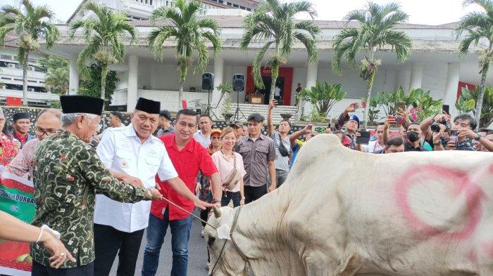 Penyerahan secara simbolis bantuan hewan kurban untuk umat Muslim yang akan merayakan Idul Adha, Rabu (28/6/2023) di halaman belakang kantor Pemprov Sulut.