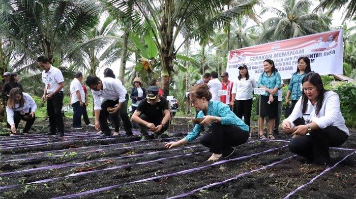 Pj Bupati Minahasa Tenggara (Mitra) Ronald Sorongan bersama istri saat menanam kacang di Silian Raya, Rabu 26 Juni 2024.