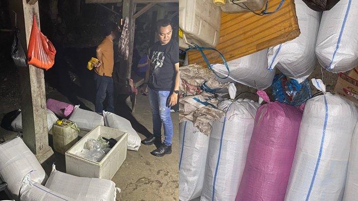 MIRAS: Polres Bolaang Mongondow (Bolmong), Sulawesi Utara (Sulut) melalui Sat Res Narkoba kembali menyita 500 liter minuman keras jenis cap tikus di Desa Tanjung Mariri, Kecamatan Poigar. Siapa pemilik miras tersebut pun kini terungkap.