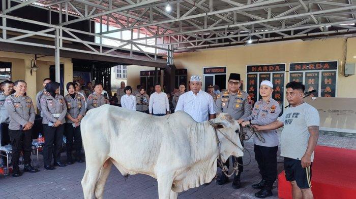 Polresta Manado memberikan Hewan Kurban untuk warga kurang mampu di hari raya idul adha 2024, Selasa (18/6/2024)