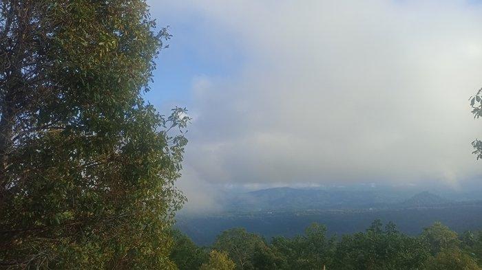 Potret-potret di perkebunan cengkeh di Gunung Batu Kembar, wilayah Atoga, Boltim. Mata dimanjakan dengan pemandangan indah lautan dan pegunungan.