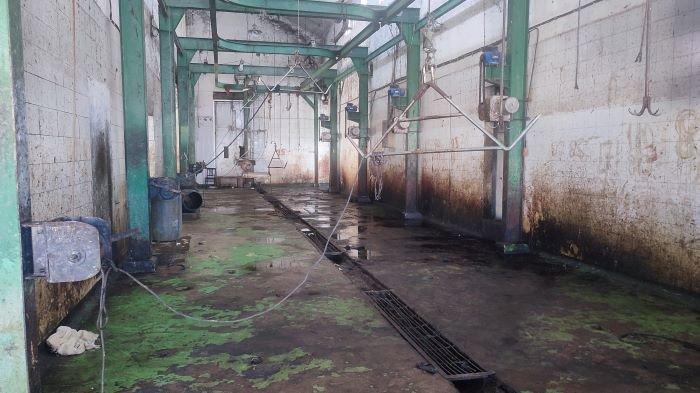 Kondisi Terkini Rumah Pemotongan Hewan di Bailang Manado Sulawesi Utara Jorok Tak Terurus