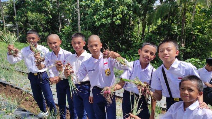 Santri Ponpes Darul Istiqamah Manado memanen bawang merah di lahan demplot Kelurahan Bailang, Kecamatan Bunaken Darat, Kota Manado, Selasa (9/1/2024).