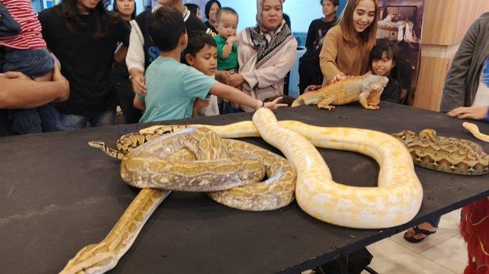 Stand Manado Exotic Pets Community di Lunar New Year Festival, Lippo Plaza Manado, Minggu (19/1/2025).