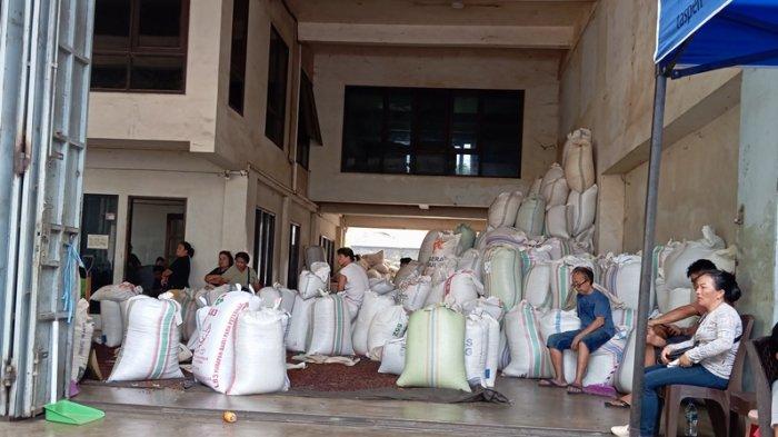 Suasana Gudang Cengkih di Wanea Manado Sulawesi Utara, Rabu (31/7/2024)