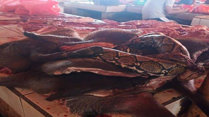 daging ular, babi putih, babi hutan dan kelelawar ditumpuk di meja yang sama di Pasar Ekstrim yang ada di Minahasa, Sulawesi Utara . Foto Indri Fransiska Panigoro