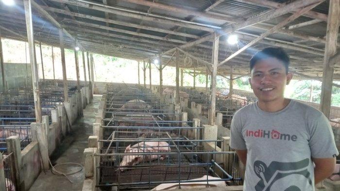 Toar Pungus, pemilik Brangka Pig Farm di Kelurahan Airmadidi Atas, Kecamatan Airmadidi, Kabupaten Minut, Sulawesi Utara, Selasa (12/9/2023).
