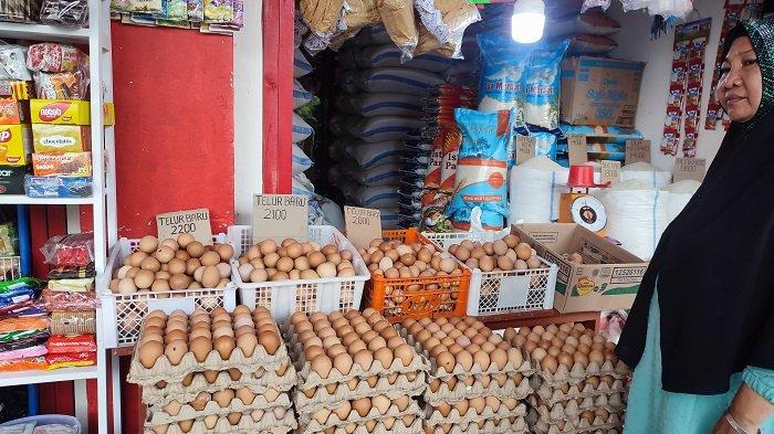 Harga telur ayam