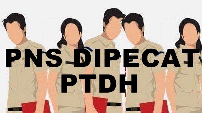 PNS - Gambar ilustrasi PNS/ASN. Sepanjang periode 2021–2025 ada 5 Pegawai Negeri Sipil (PNS) Pemkab Minahasa Selatan dipecat atau dijatuhi PTDH.
