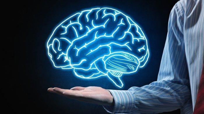 Ilustrasi otak manusia - Simak sejumlah informasi terkait aphasia, mulai dari gejala hingga cara pengobatannya.