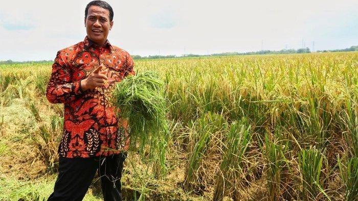 Menteri Pertanian Amran Sulaiman