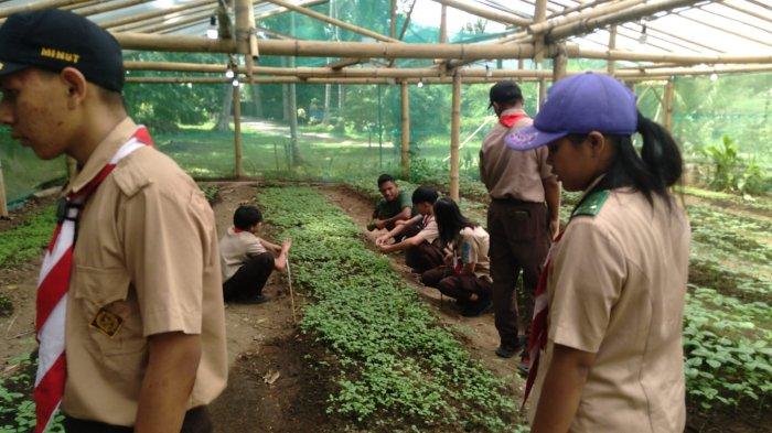 Sebagian siswa mengambil bibit untuk ditanam di lahan pertanian organik Waya Marendem Sitou Timou (WMS) di Desa Tumaluntung.