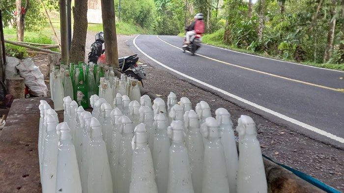 Saguer atau nira mentah yang dijual di Tanggari Minahasa Utara ( Minut ) Sulut