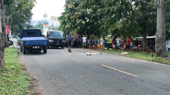 Kecelakaan lalu lintas terjadi di Jalan Trans AKD, Desa Kopandakan Satu, Kecamatan Kotamobagu Selatan, Kota Kotamobagu, Sulawesi Utara, Rabu (3/1/2024).