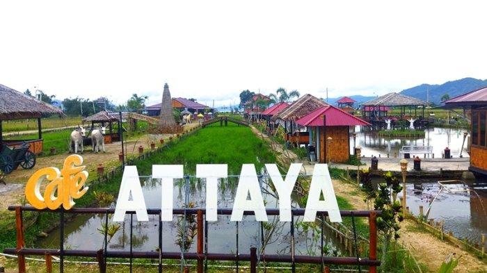 Sugguhkan nuansa Bali, dengan pemandangan persawahan yang memanjakan mata, Attaya Cafe and Resto Layak untuk anda kunjungi.