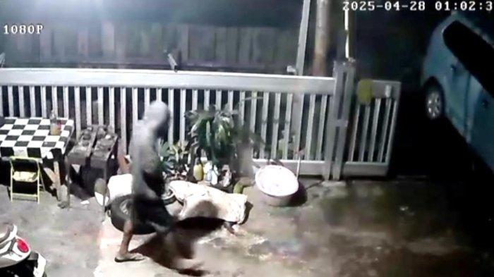 PENCURI BIJI KAKAO: Terduga pelaku pencurian biji kakao di Kotamobagu, Sulawesi Utara (Sulut) yang sempat terekam CCTV dan kini berhasil ditangkap polisi. Berdasarkan hasil interogasi, YA mengakui telah melakukan aksinya sebanyak tujuh kali di wilayah Kotamobagu sejak Desember 2024.