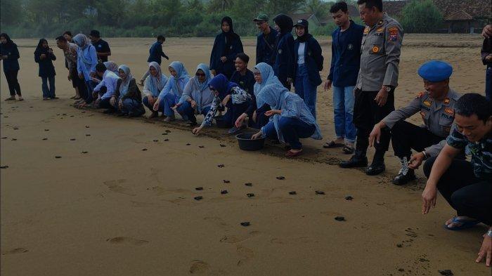Konservasi penyu di pantai kili-kili, Trenggalek