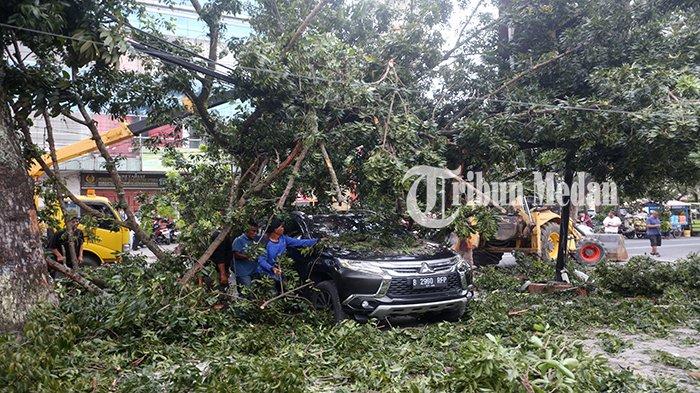 Petugas memotong pohon tumbang di Jalan Abdullah Lubis Kelurahan Merdeka, Kecamatan Medan Baru, Kota Medan, Minggu (15/12/2024). Pohon tumbang tersebut menimpa 4 mobil dan tidak ada korban jiwa.