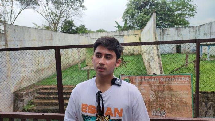 Alshad Ahmad, Konten Kreator yang juga Pecinta Harimau, turun langsung memberikan sejumlah vitamin untuk Harimau yang ada di Medan Zoo, Minggu (11/2/2024).