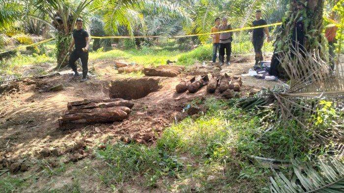 BOM MORTIR - Sebanyak 20 bom mortir ditemukan diareal perkebunan PT LNK Tanjung Beringin Divisi I yang berada di Jalan Desa Tamaran, Desa Perkebunan Tanjung Beringin, Kecamatan Hinai, Kabupaten Langkat, Sumatera Utara, Jumat (27/6/2025).
