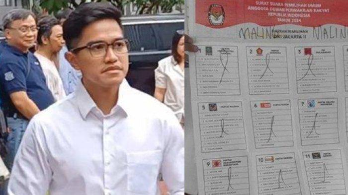 HEBOH Temuan Surat Suara Bertuliskan Maling di TPS Kaesang Nyoblos