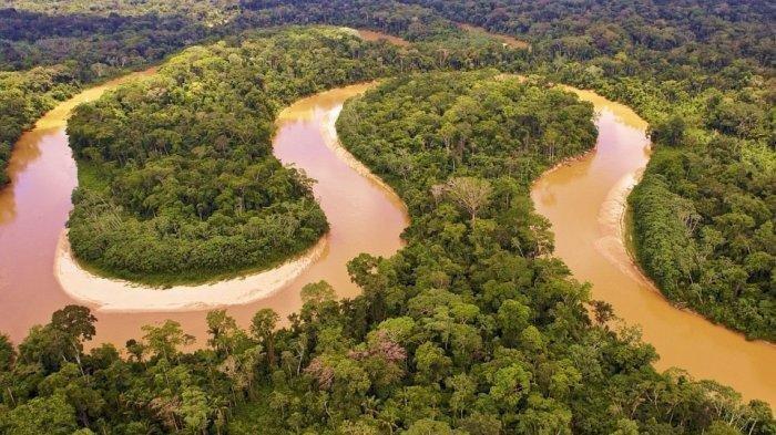 HUTAN AMAZON - Sungai dan wilayah Hutan Amazon. Hutan ini kini diserang rating bintang 1 imbas Kematian Juliana Marins di Gunung Rinjani.