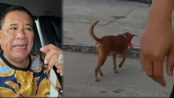 Hotman Paris soroti kasus yang memasangkan bendera Merah Putih ke leher anjing
