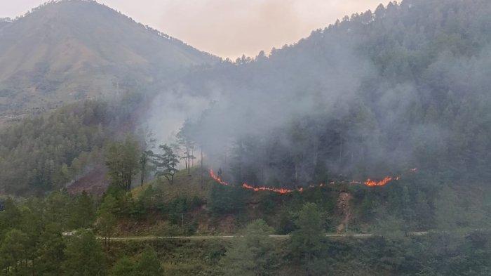 Kebakaran yang terjadi di Samosir, Senin (15/7/2024). Karhutla tersebut diperkirakan terjadi sejak Jumat (12/7/2024).