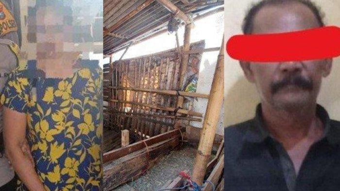 MOTIF Suami Sekap dan Ikat ART Jember di Kandang Sapi, Terancam 10 Tahun Penjara dan Denda Rp30 Juta