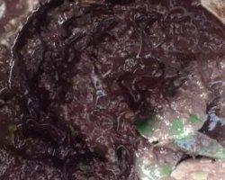 Sambal Getah Manuk merupakan sambal khas suku Karo berbahan utama darah ayam kampung segar.