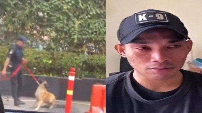 NASIB Nasarius Satpam Plaza Indonesia Terpaksa Pukul Anjing Demi Selamatkan Kucing, Nangis Dipecat