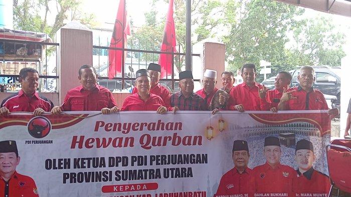 Ketua Dewan Pimpinan Daerah (DPD) Partai Demokrasi Indonesia Perjuangan (PDIP) Sumatera Utara, Rapidin Simbolon menyerahkan enam ekor sapi kurban untuk kader marhaen di Labuhanbatu Raya.