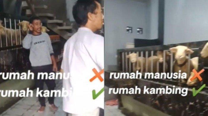 SOSOK Dafit Susanto, Pemilik Kandang Domba Mewah, Habiskan Dana Rp500 Juta Biar Domba Nyaman
