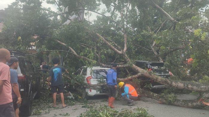 Satu unit mobil tertimpa pohon tumbang di Jalan Abdullah Lubis, Minggu (15/12/2024). Akibatnya ada empat mobil yang ringsek.