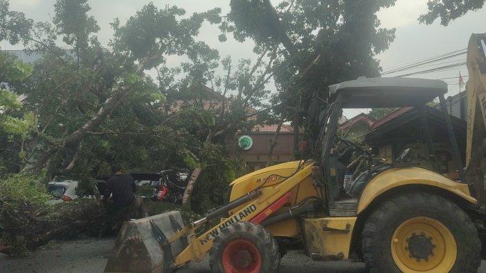 Satu unit mobil tertimpa pohon tumbang di Jalan Abdullah Lubis, Minggu (15/12/2024). Akibatnya ada empat mobil yang ringsek.