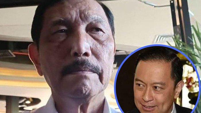 Sosok Tom Lembong bikin Luhut Pandjaitan murka. Tom Lembong pernah menjadi pembantu Presiden Joko Widodo. (HO)