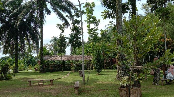 Suasana hijau dan luas yang menyejukkan mata di Taman Edukasi Binjai