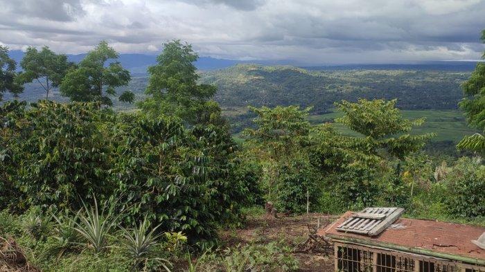 Tempat wisata Paktu yang berada di Desa Bintang Kecamatan Sidikalang Kabupaten Dairi.