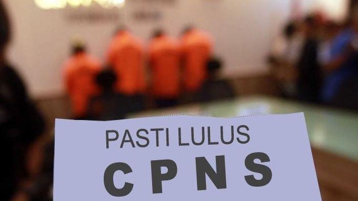 Akhirnya Terbongkar Penipuan CPNS, 28 Korban Tertipu Punya 'Kartu PNS' hingga Gubernur Turun Tangan