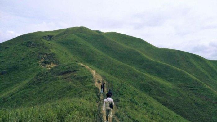 WISATA alam, Bukit Holbung yang terletak di Dolok Raja, Kecamatan Harian, Kabupaten Samosir, Sumatera Utara.