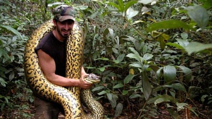 PAUL Rosolie berpose dengan Anaconda yang ditangkapnya di Hutan Amazon