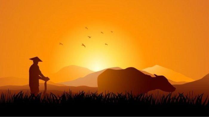 BAJAK SAWAH- Ilustrasi seorang petani tengah membajak sawah dengan kerbau miliknya.