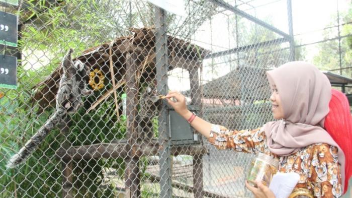 kebun binatang siantar kbs