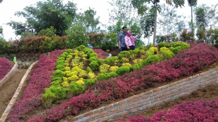 Pengunjung The Le Hu Garden sedang berselfie Sabtu, (4/2/2017).