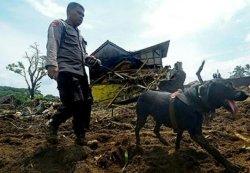 mengevakuasi dua korban longsor Dusun III, Desa Simangulampe,