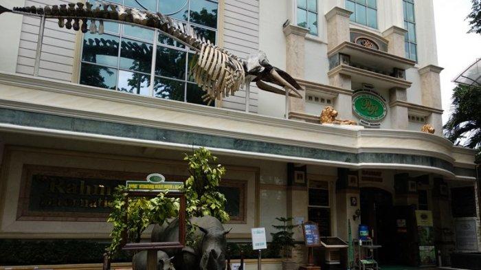 RAHMAT International Wildlife Museum and Gallery merupakan tempat yang bagus untuk lebih mengenal keanekaragaman satwa.