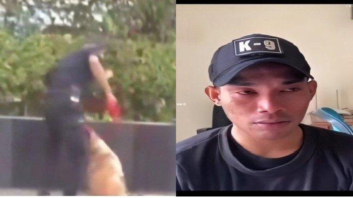 Nasarius Saptam Plaza Indonesia Klarifikasi Soal Aksi Pukul Anjing