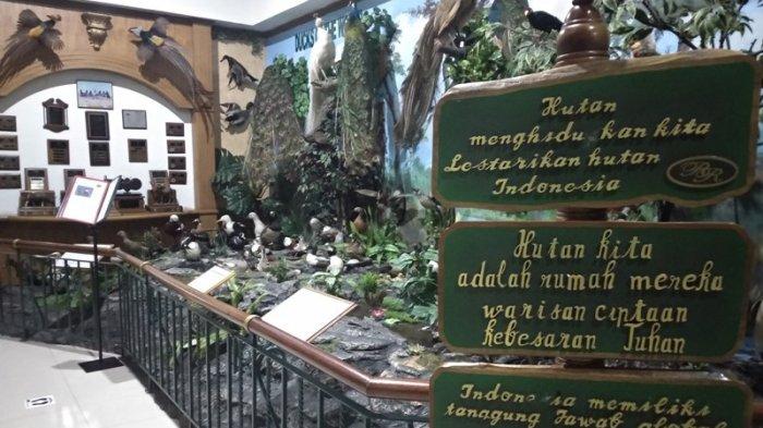 SUASANA Rahmat International Wildlife Museum and Gallery di Jalan S Parman No.309, Medan.