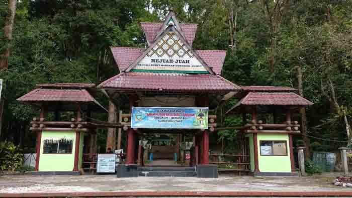 Taman Hutan Raya (Tahura) Bukit Barisan