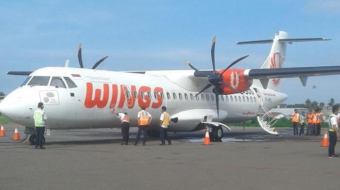 Wings Air